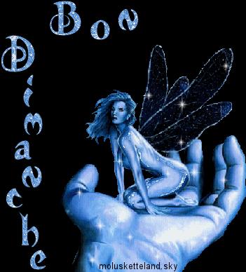 Bon dimanche mes ami(e)s !!