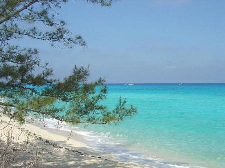 Bienvenue sur mon blog !!