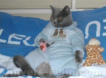 Tu es encore un b�b�!! h� ben !!! lol !!!