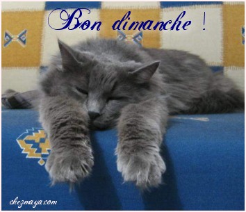 Bon bimanche ms ami(e)s !!