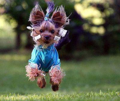 Quelle tronche !!! olalala !!! lol !!!